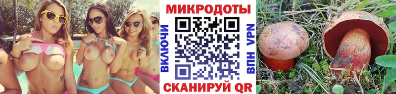Галлюциногенные грибы прущие грибы Магнитогорск