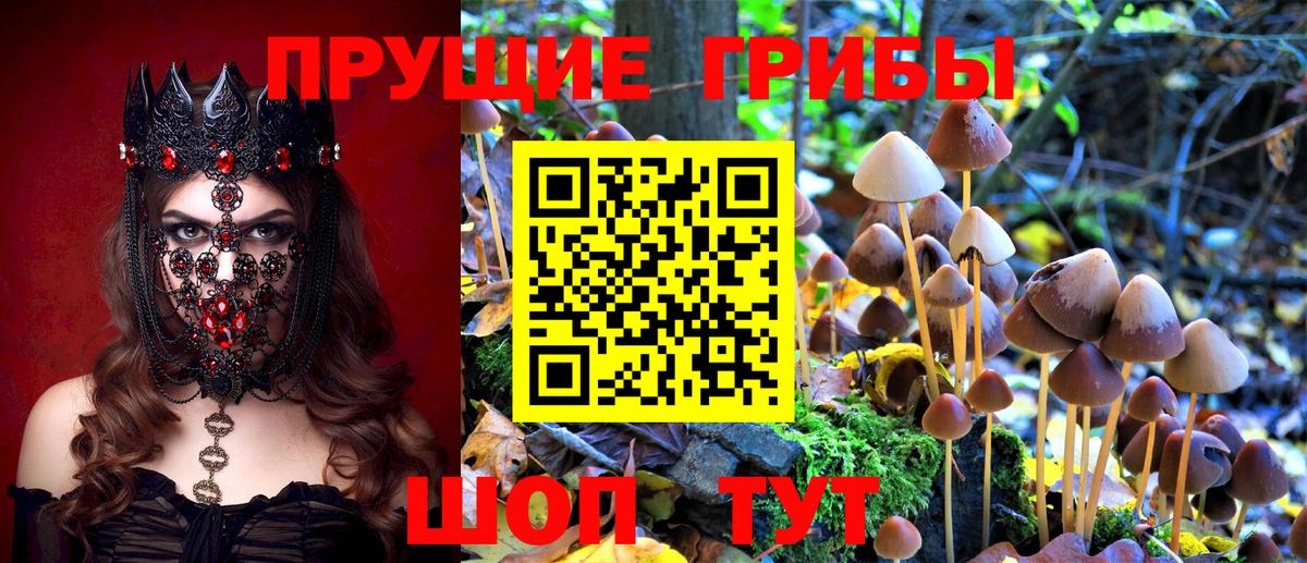 Галлюциногенные грибы GOLDEN TEACHER  Вход с VPN  Магнитогорск  Псилоцибиновые грибы Psilocybe 